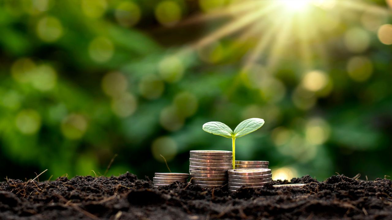 Structure Research - Princeton Digital Group gets green loan for campus in Johor, Malaysia
