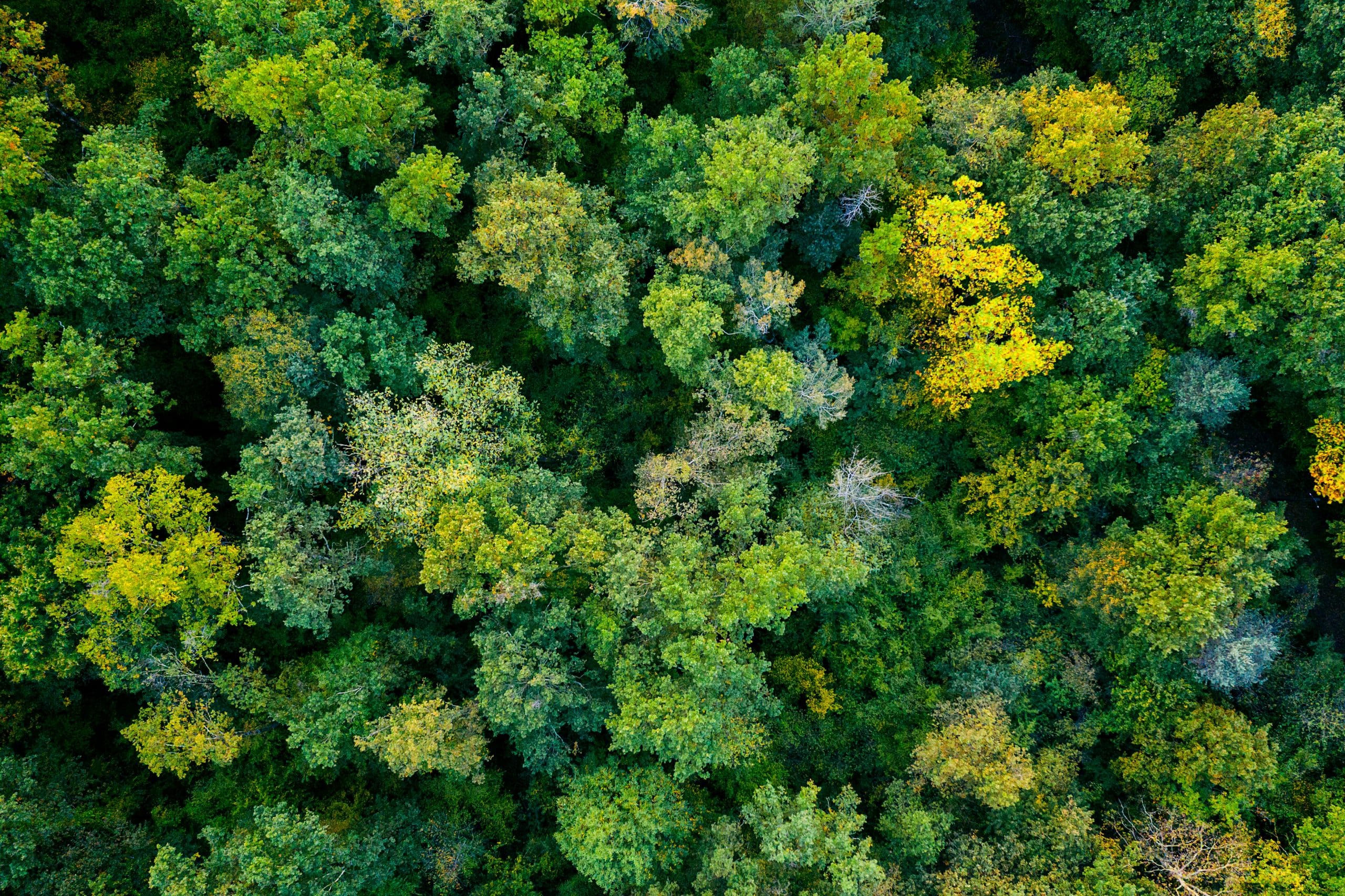 ESG Report 2022-23: Towards Digital Decarbonisation